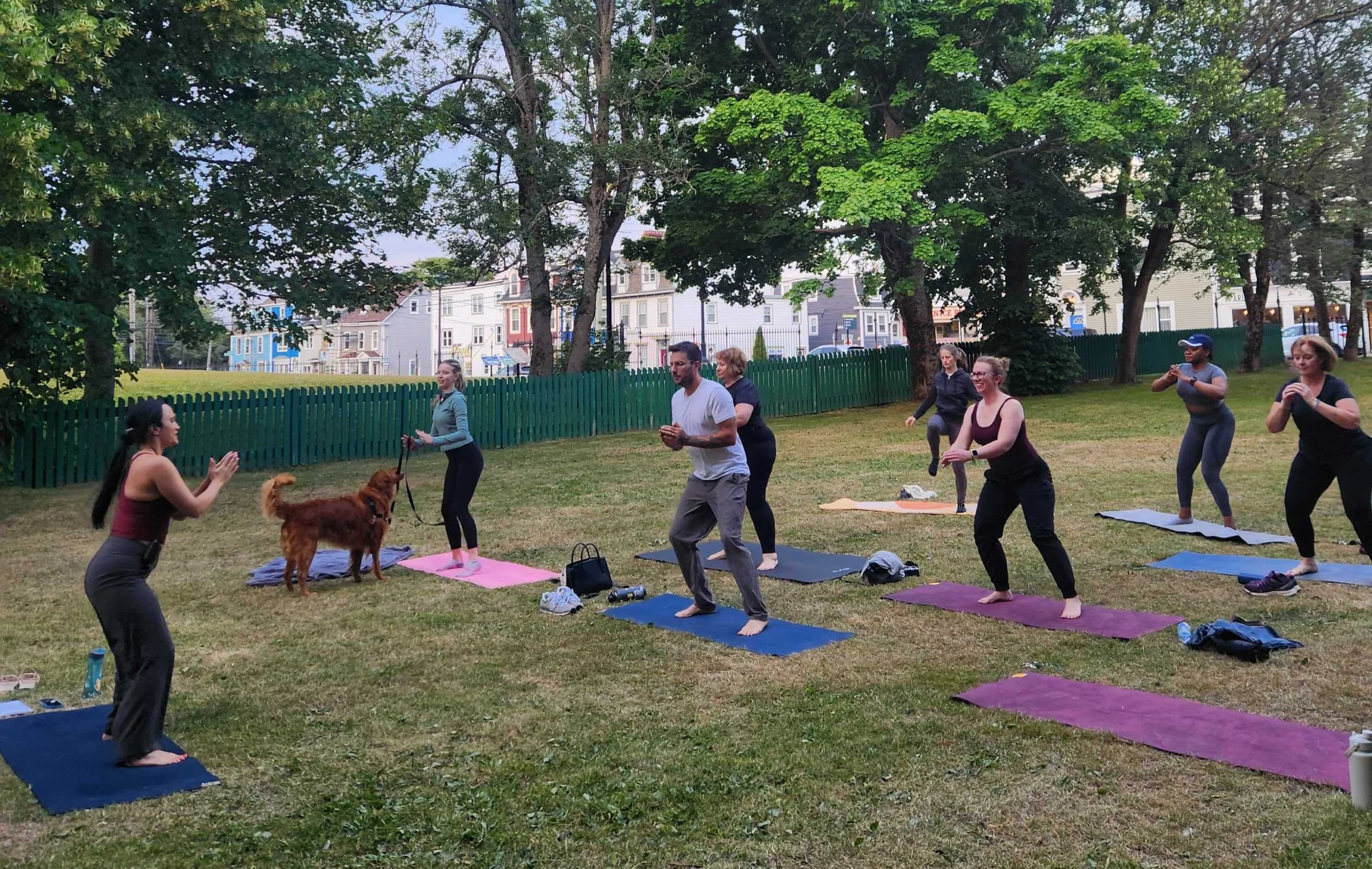 Group of people doing pilates in the park